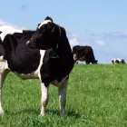 ビジョン