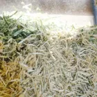 飼料